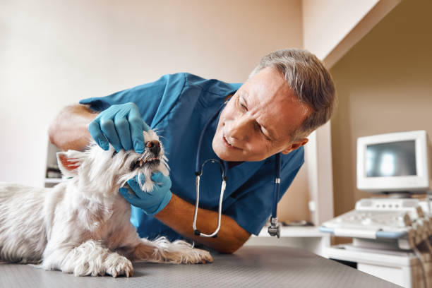 Best Walk-In Emergency Dentist in Clarkston, GA